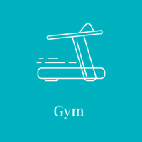 lion group facilities - gym